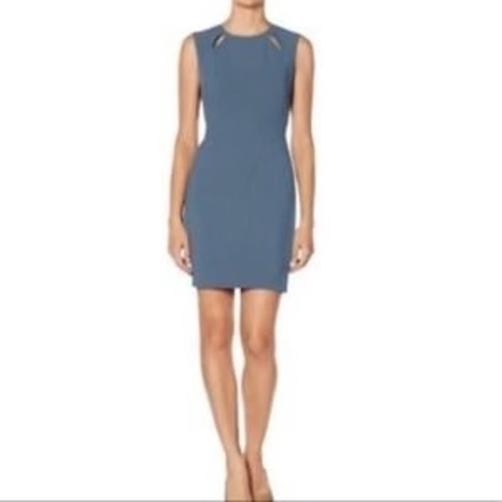The Limited Sophie Theallet Blue Dress Size 2